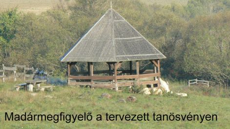 fotok_2008_tablokepek_110.jpg